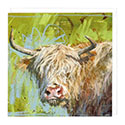 Card Highland Cow Green